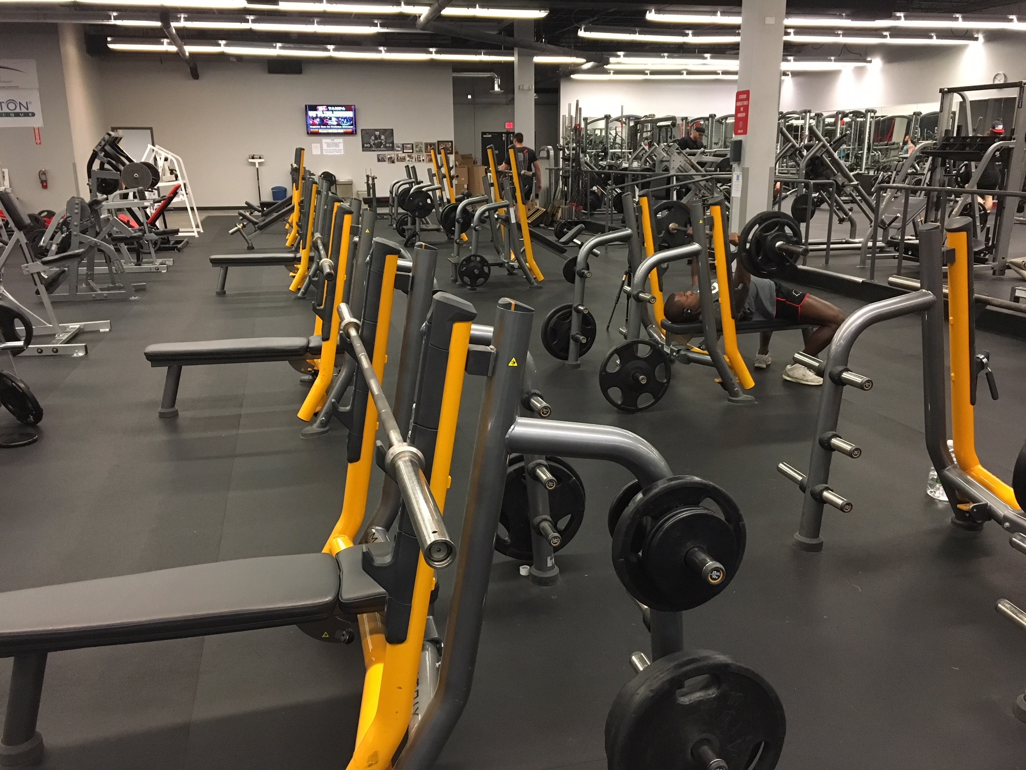 Fitness Centers In Tampa FL  Powerhouse gym Althetic Club